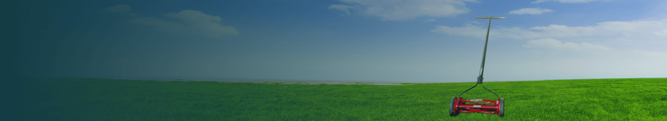 A red lawnmower on grass with a blue sky in the background